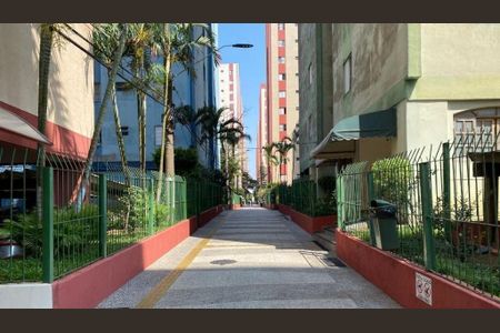 Apartamento à venda com 3 quartos, 61m² em Jardim Copacabana, São Bernardo do Campo