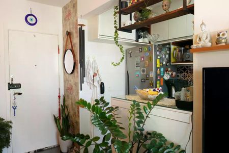 Apartamento à venda com 57m², 2 quartos e 1 vagaCozinha com geladeira, fog. O e pratos coloridos, com plantas e decorações por perto.