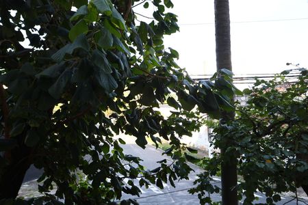 Apartamento à venda com 54m², 2 quartos e 1 vagavista