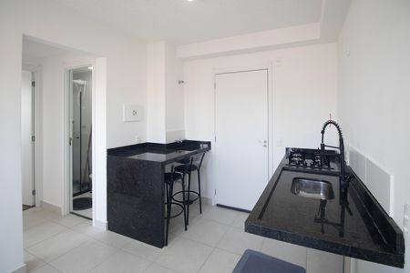 Cozinha de apartamento para alugar com 2 quartos, 30m² em Vila Maria, São Paulo