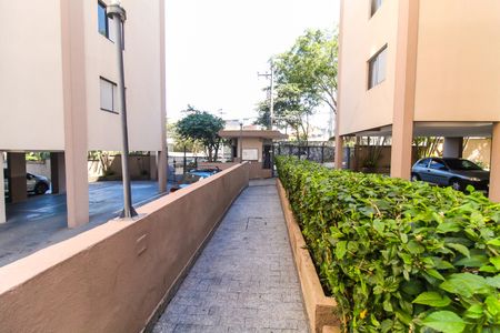Apartamento à venda com 64m², 3 quartos e 1 vagaEntrada