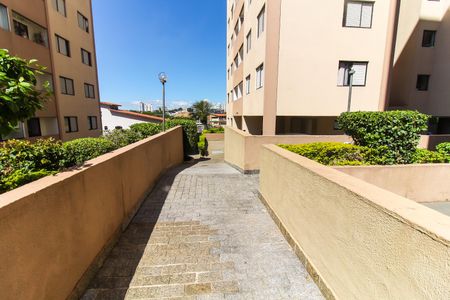 Apartamento à venda com 64m², 3 quartos e 1 vagaÁrea comum