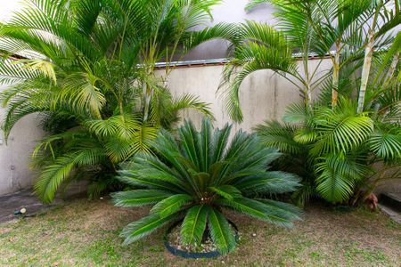 Casa para alugar com 100m², 1 quarto e 1 vagaJardim