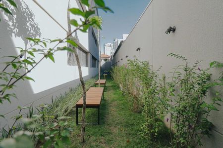 Apartamento à venda com 77m², 2 quartos e 1 vaga Apartamento à venda com 77m², 2 quartos e 1 vagaÁrea comum - Pet Place