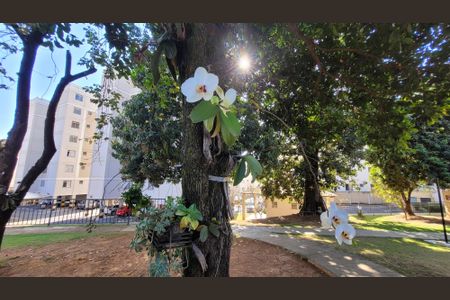 Apartamento à venda com 47m², 2 quartos e 1 vagaárea verde