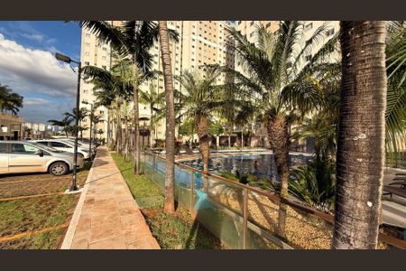 Apartamento para alugar com 45m², 2 quartos e 1 vagaCirculação