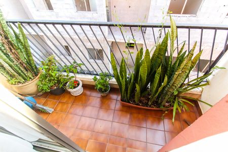 Sacada de apartamento para alugar com 2 quartos, 59m² em Vila Taquari, São Paulo