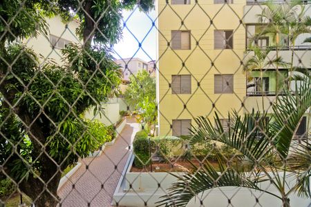 Vista de apartamento para alugar com 3 quartos, 70m² em Vila Palmeiras, São Paulo