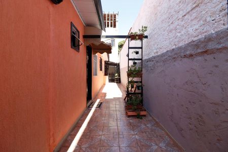 Casa de condomínio para alugar com 68m², 1 quarto e sem vagaQuintal