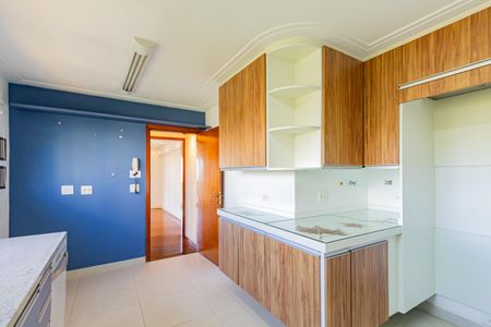 Apartamento para alugar com 219m², 3 quartos e 3 vagasCozinha