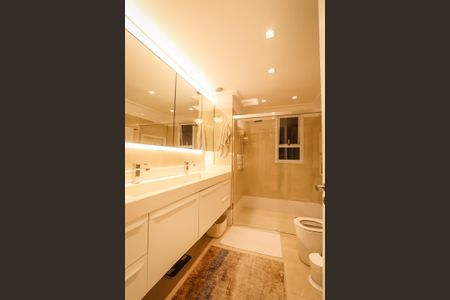 Apartamento à venda com 248m², 4 quartos e 4 vagasBanheiro da Suite Master