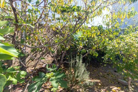 Casa à venda com 152m², 4 quartos e 3 vagasQuintal