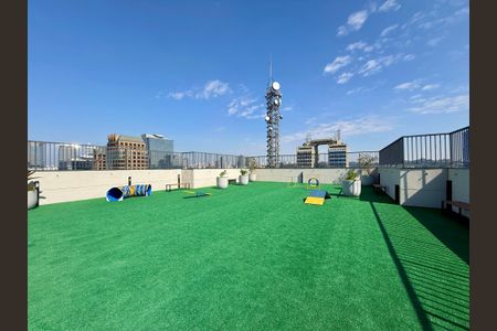 Studio para alugar com 25m², 1 quarto e sem vagaEspaço Pet 