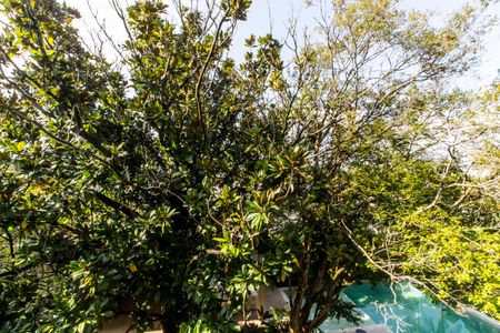 Casa de condomínio à venda com 465m², 4 quartos e 8 vagasVista da Suíte