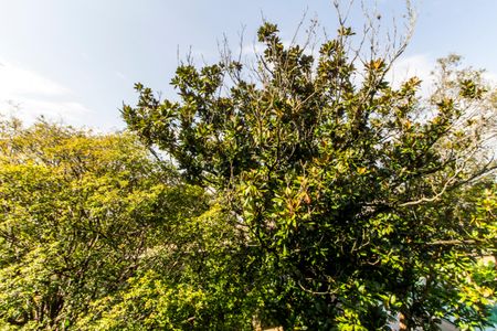 Casa de condomínio à venda com 465m², 4 quartos e 8 vagasVista da Suíte