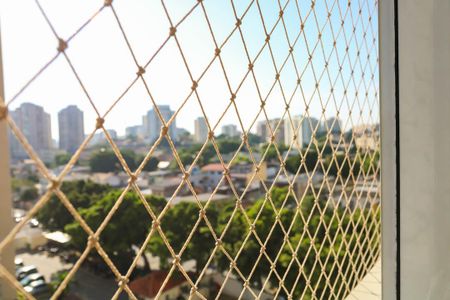 Apartamento para alugar com 51m², 2 quartos e 1 vagaVista do Quarto 2