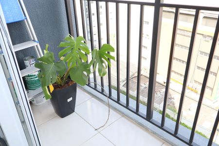 Apartamento para alugar com 36m², 2 quartos e sem vagaVaranda