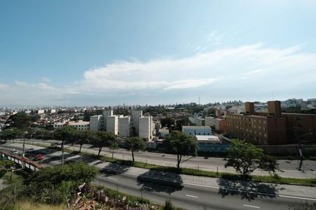 Casa para alugar com 300m², 6 quartos e 6 vagasEdícula