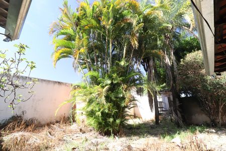 Casa para alugar com 280m², 4 quartos e 5 vagasQuintal