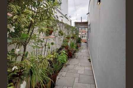 Casa à venda com 3 quartos, 220m² em Vila Sonia, São Paulo