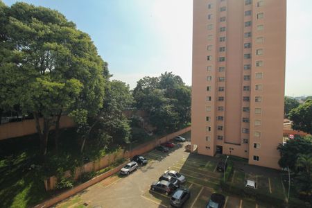 Vista do Quarto 1 de apartamento para alugar com 2 quartos, 39m² em Vila Butantã, São Paulo