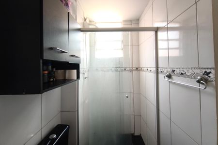 Banheiro de apartamento para alugar com 2 quartos, 54m² em Parque Residencial Vila União, Campinas