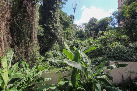 Apartamento para alugar com 47m², 2 quartos e 1 vagaVista do Quarto 1