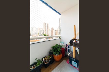 Sacada da Sala de apartamento à venda com 2 quartos, 67m² em Vila Monte Alegre, São Paulo