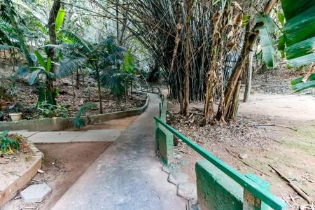 Apartamento para alugar com 46m², 2 quartos e 1 vagaÁrea comum