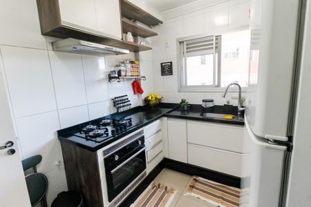Apartamento para alugar com 46m², 2 quartos e 1 vagaCozinha - Armários