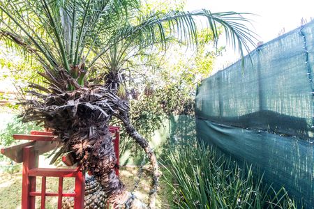 Casa de condomínio à venda com 240m², 3 quartos e 2 vagas Casa de condomínio à venda com 240m², 3 quartos e 2 vagasQuintal