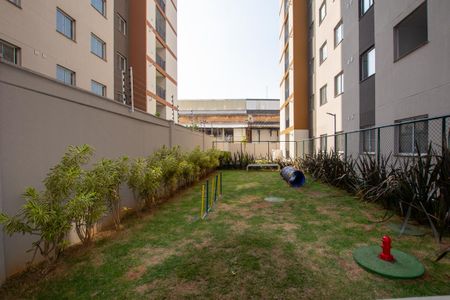 Apartamento para alugar com 35m², 1 quarto e sem vaga Apartamento para alugar com 35m², 1 quarto e sem vagaAREA PET