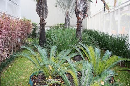 Studio para alugar com 41m², 1 quarto e 1 vagaEntrada