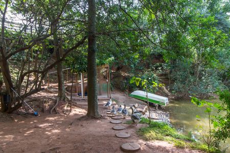 Apartamento para alugar com 176m², 4 quartos e 3 vagasParque