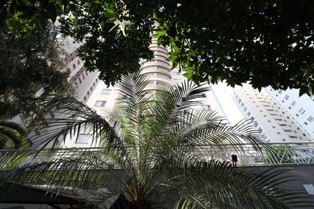 Apartamento para alugar com 75m², 3 quartos e 2 vagasFachada