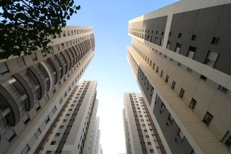 Apartamento para alugar com 75m², 3 quartos e 2 vagasÁrea comum