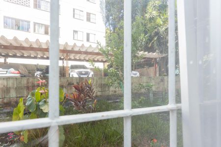 Vista da Sala de apartamento para alugar com 2 quartos, 59m² em Pedreira, São Paulo