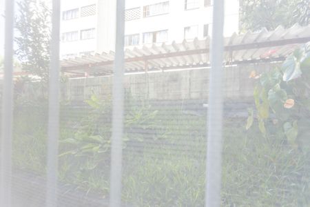 Apartamento para alugar com 59m², 2 quartos e 1 vagaVista do Quarto 2