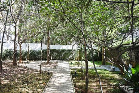 Apartamento para alugar com 74m², 2 quartos e 1 vagaBosque