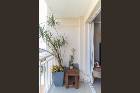 Varanda da Sala de apartamento à venda com 3 quartos, 70m² em Vila Carmosina, São Paulo