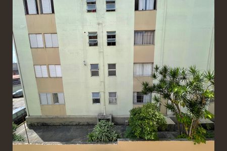 Apartamento para alugar com 65m², 2 quartos e 1 vagaVista do Quarto 2