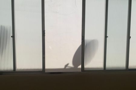 Apartamento para alugar com 80m², 2 quartos e 1 vagaSala