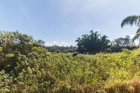 Apartamento para alugar com 50m², 2 quartos e 1 vagaVista do Quarto 1