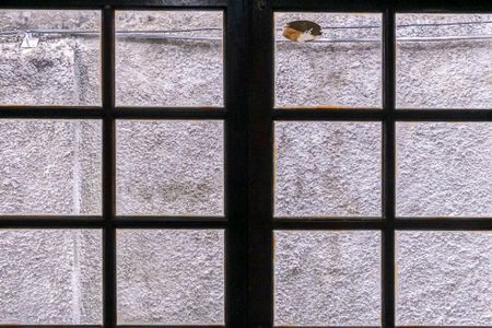 Casa para alugar com 174m², 5 quartos e 5 vagasCasa frente - Vista do Quarto 1