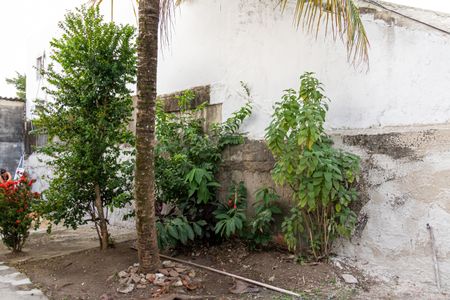 Casa para alugar com 60m², 2 quartos e sem vagaQuintal