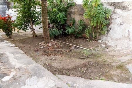 Casa para alugar com 60m², 2 quartos e sem vagaQuintal