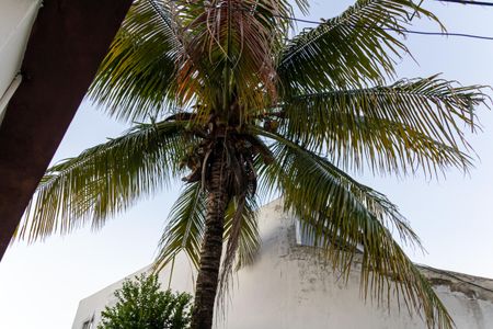 Casa para alugar com 60m², 2 quartos e sem vagaQuintal
