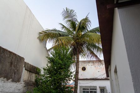 Casa para alugar com 60m², 2 quartos e sem vagaQuintal
