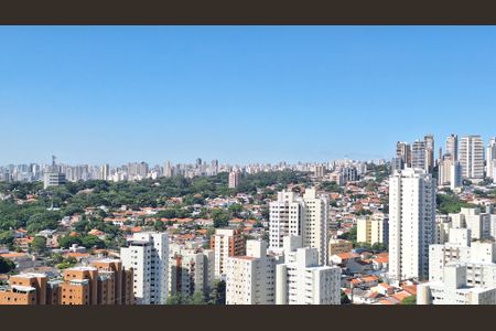 Apartamento para alugar com 172m², 3 quartos e 3 vagasVista