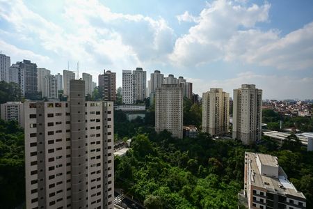 Vista de apartamento para alugar com 1 quarto, 40m² em Jardim Ampliacao, São Paulo